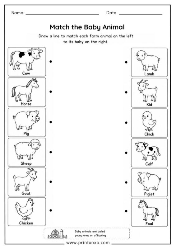 Match the Baby Farm Animals printable worksheet.