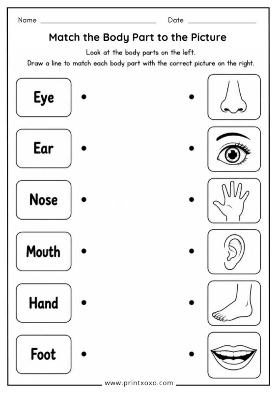 Match the Body Part to the Picture printable worksheet for preschool and kindergarten.