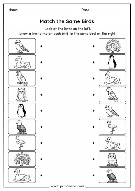 Match the Same Birds worksheet for preschool and kindergarten