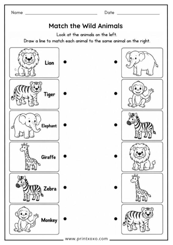 Match the wild animals worksheet for preschool