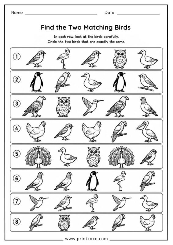 Spot the Two Same Birds worksheet