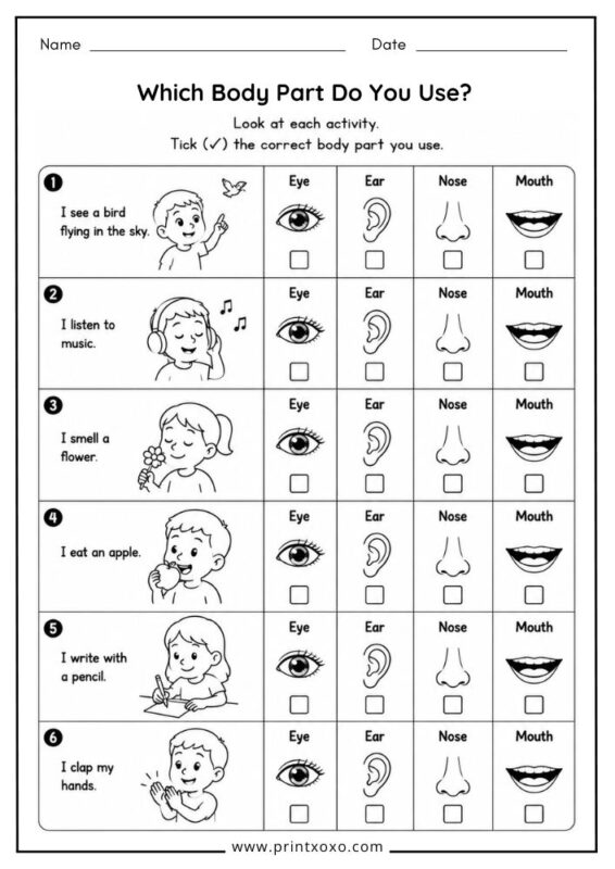 Which Body Part Do You Use printable worksheet for preschool and kindergarten.