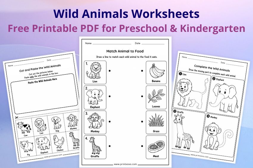 Free printable wild animals worksheets for preschool and kindergarten