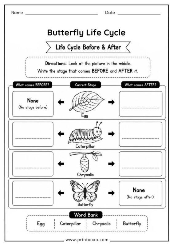 Free printable butterfly life cycle before and after worksheet for preschool and kindergarten.