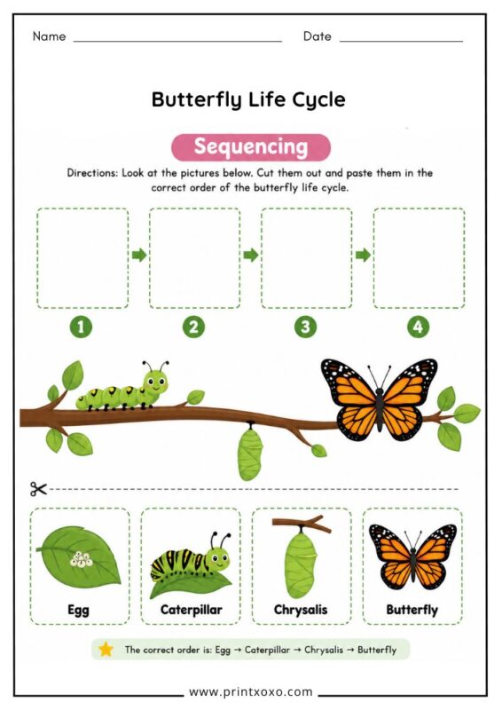 Free printable butterfly life cycle sequencing worksheet for preschool and kindergarten kids.
