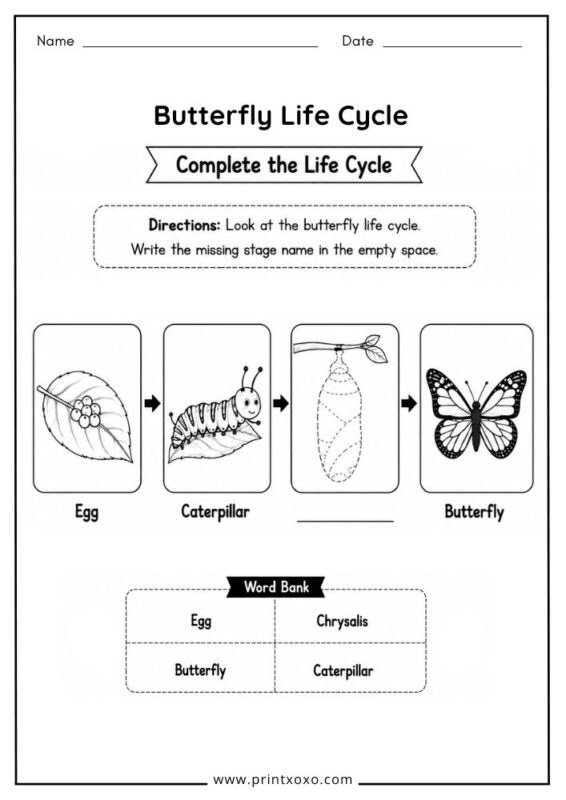 Free printable complete the butterfly life cycle worksheet for preschool and kindergarten.