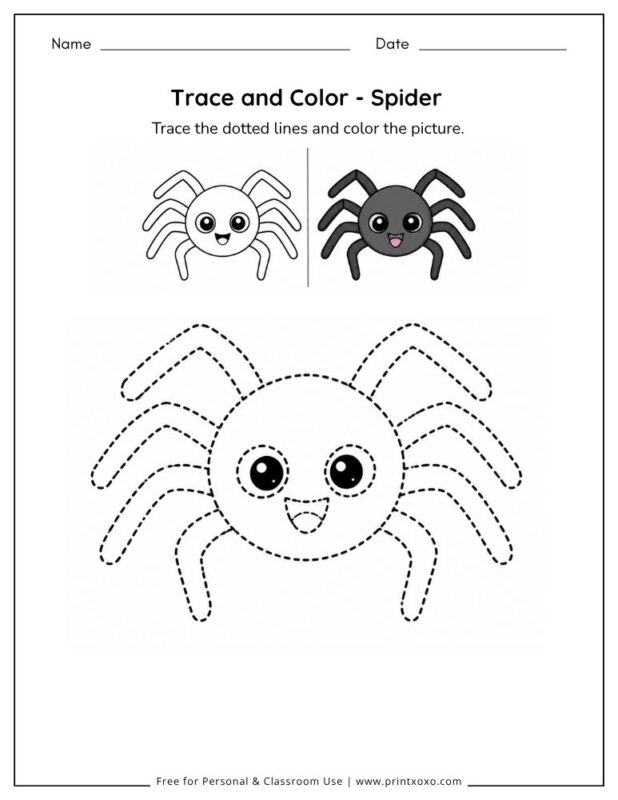 Spider tracing worksheet for preschool and kindergarten