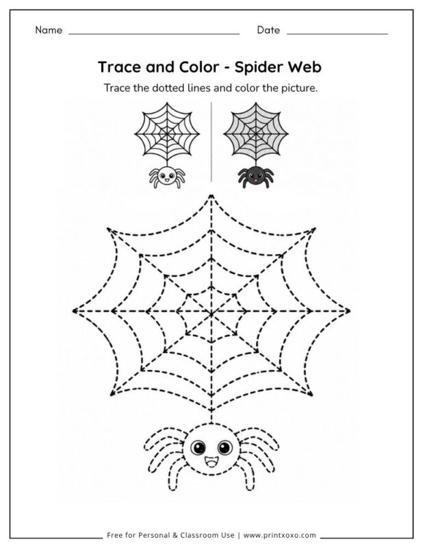 Spider web tracing worksheet for preschool and kindergarten