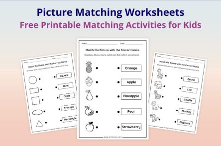 Picture matching worksheets printable for preschool and kindergarten kids