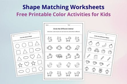 Same and Different Worksheets free printable PDF for preschool and kindergarten kids