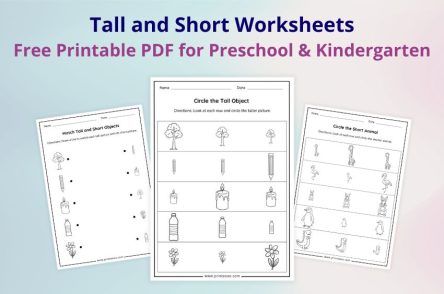 Tall and Short Worksheets free printable PDF for preschool and kindergarten kids